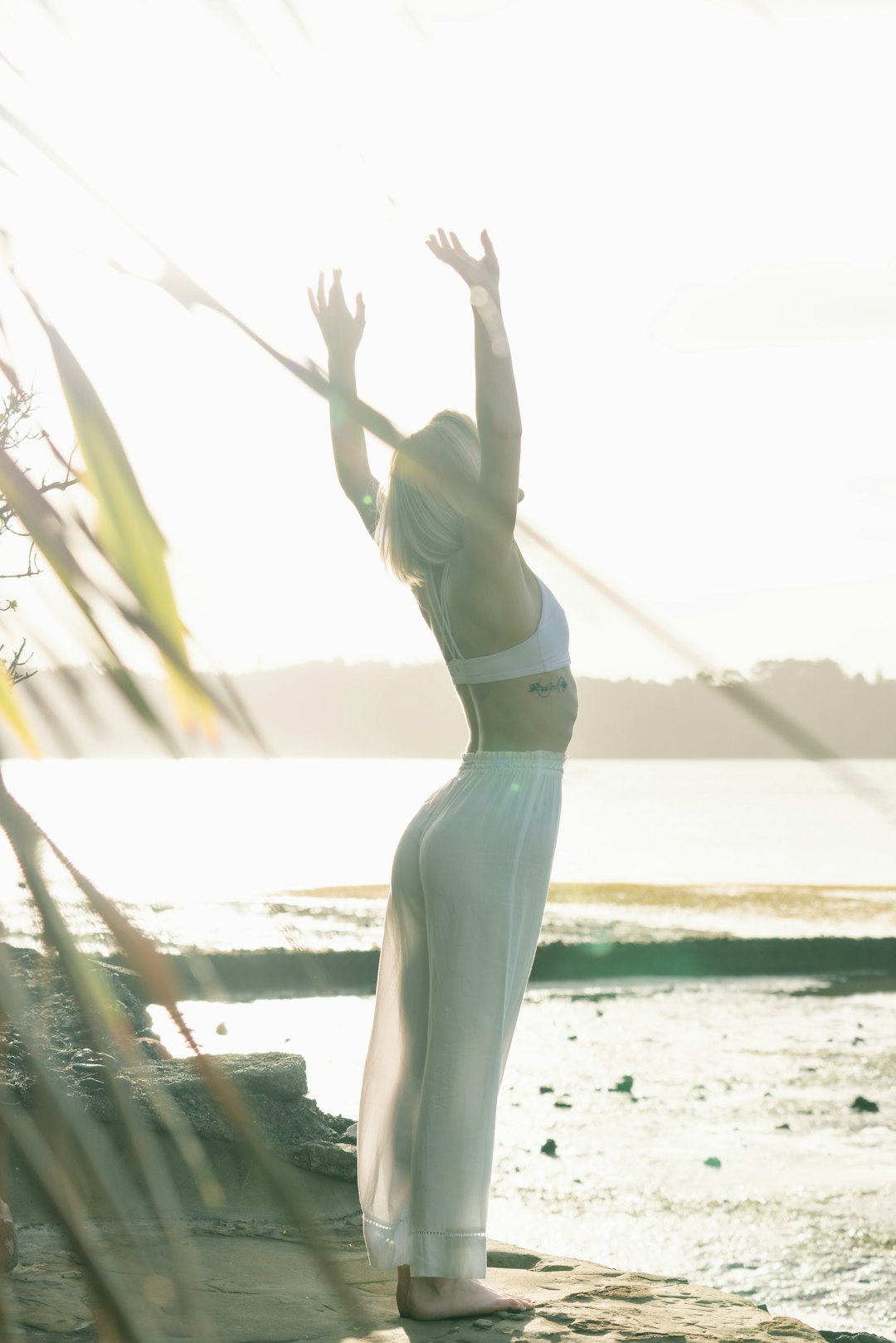 Wellness and self-care strategies